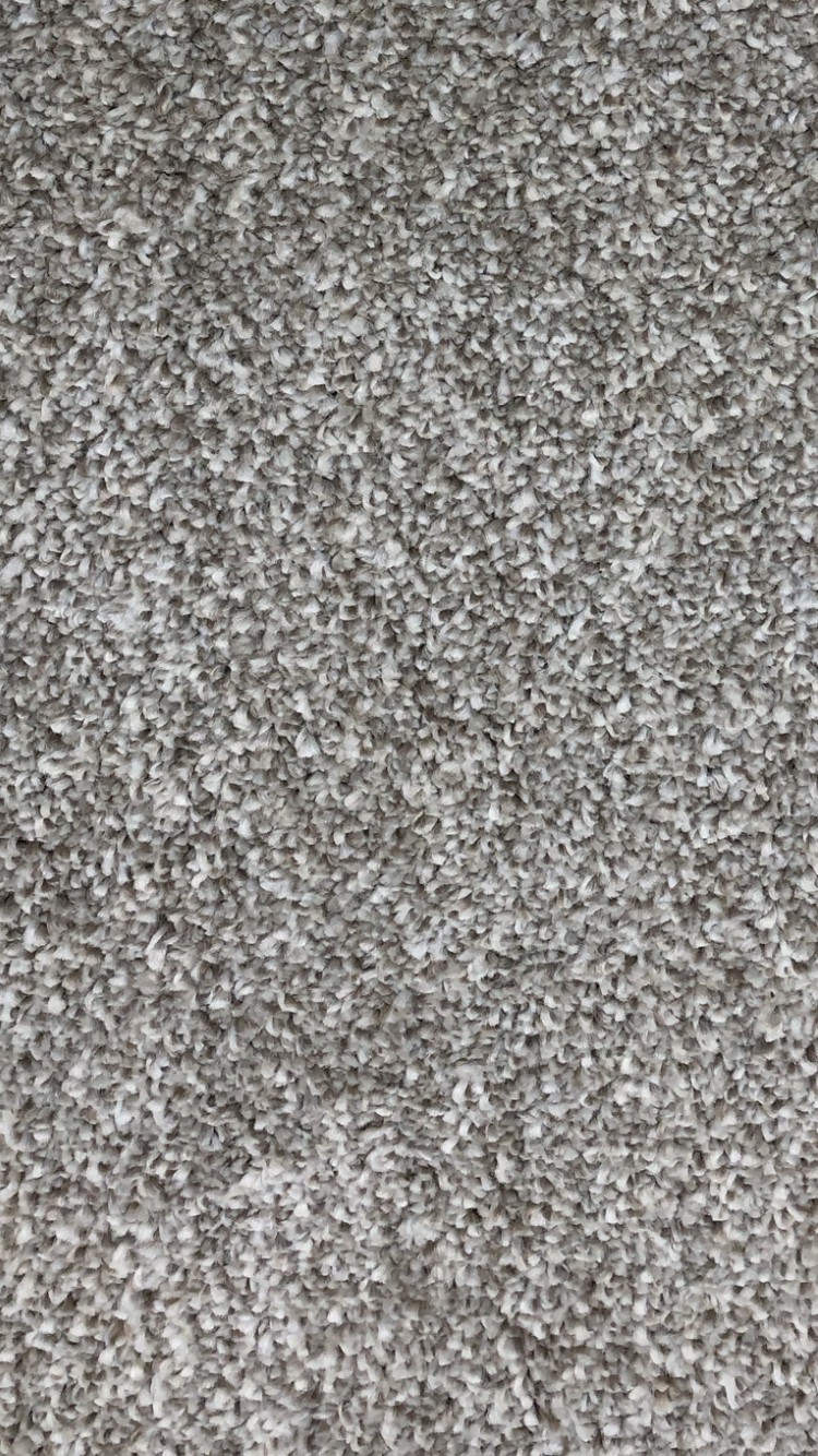 >SANDHAVEN SAXONY MISFLOWER 